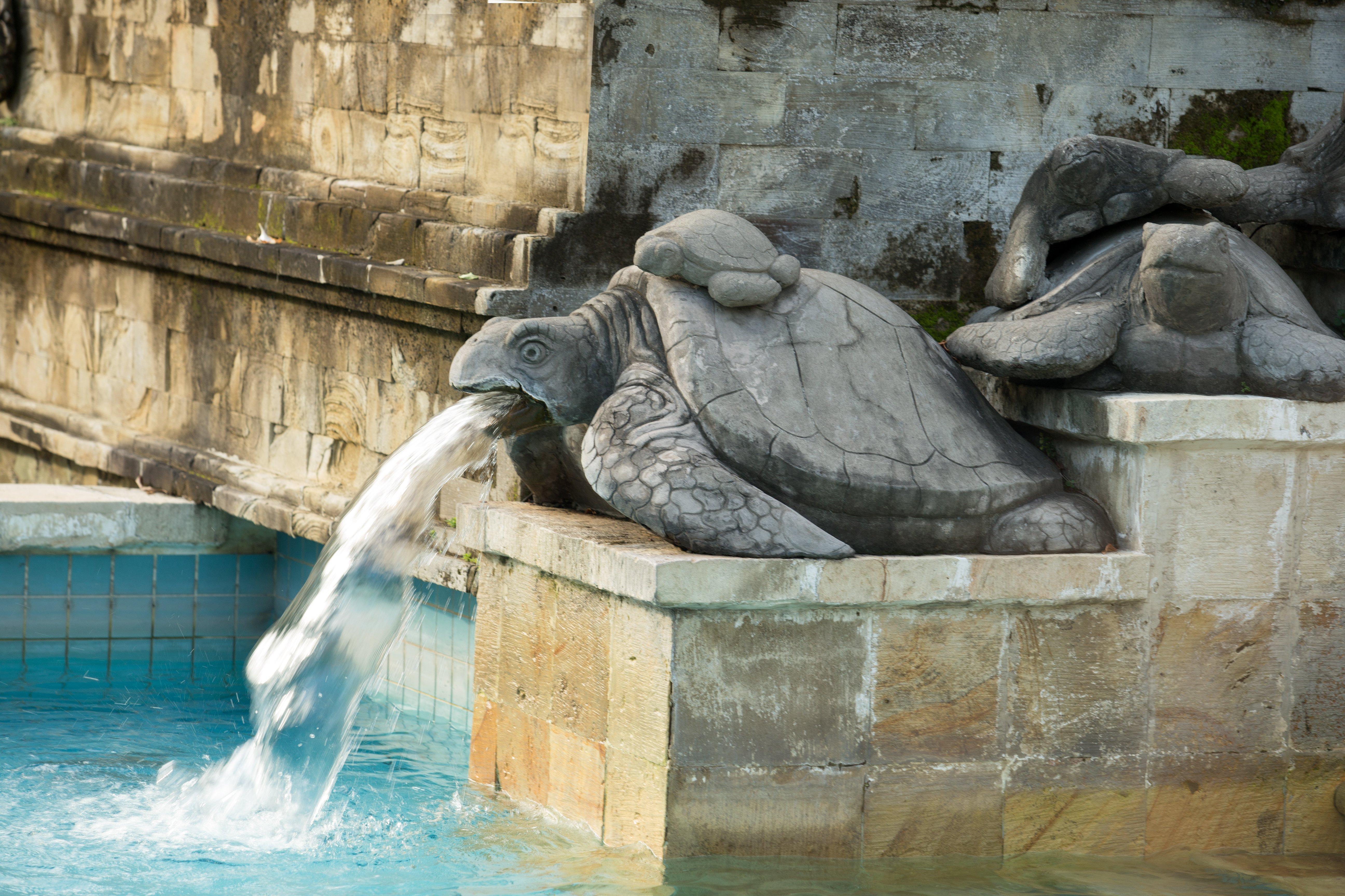 Intercontinental Bali Resort By Ihg Jimbaran Exterior foto Fountain of the Turtle